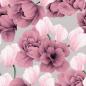 Preview: Softshell Druck  Aquarellblumen mit Fleecabseite in Altrosa